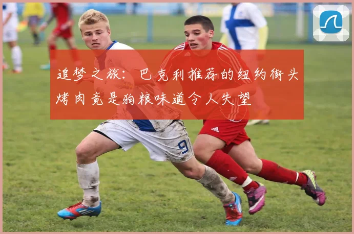 追梦之旅：巴克利推荐的纽约街头烤肉竟是狗粮味道令人失望
