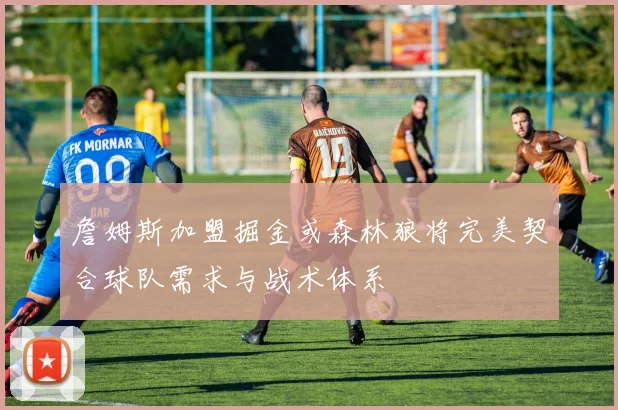 詹姆斯加盟掘金或森林狼将完美契合球队需求与战术体系